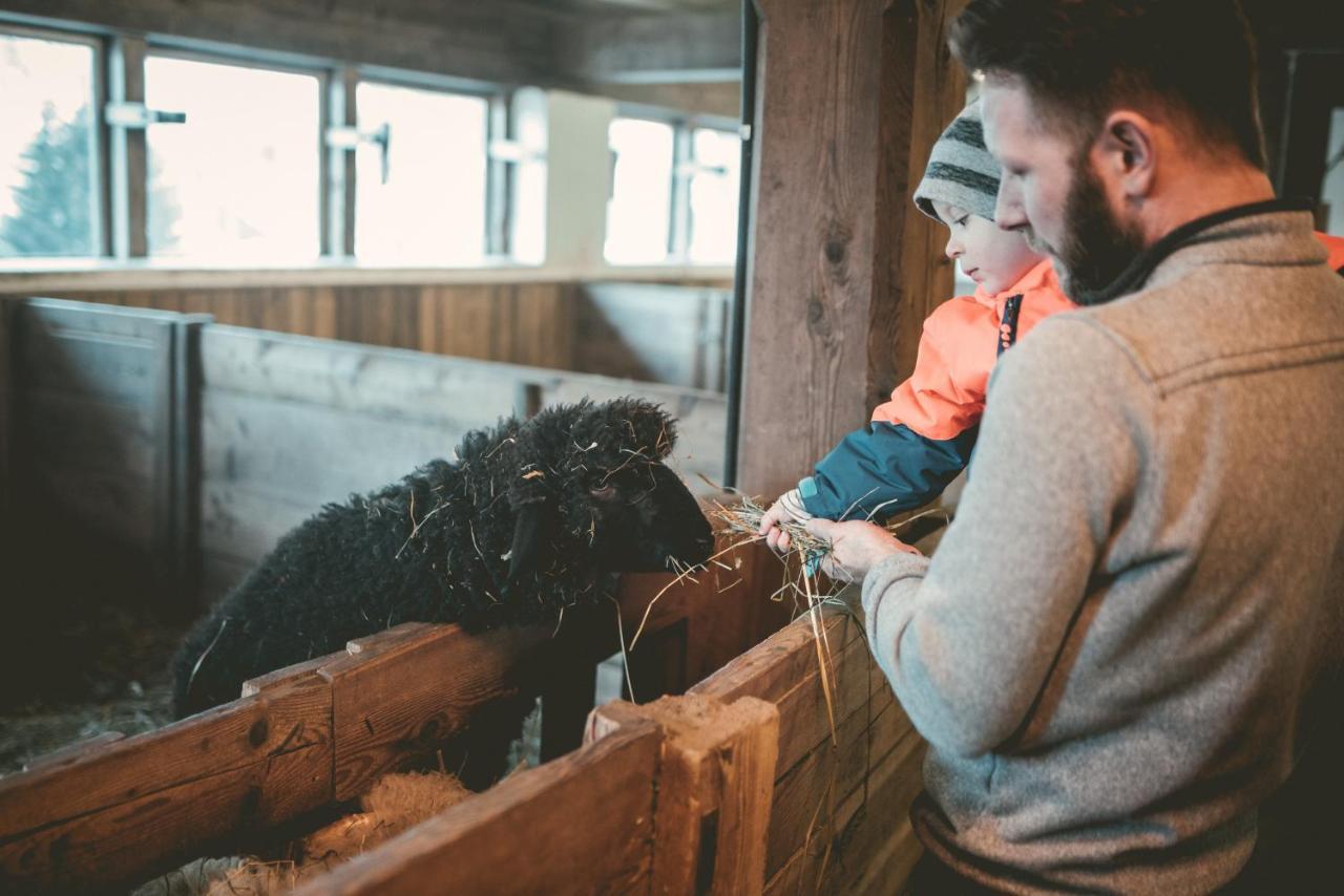 Familienhotel Replerhof Mit Kinderbetreuung Pragraten ภายนอก รูปภาพ